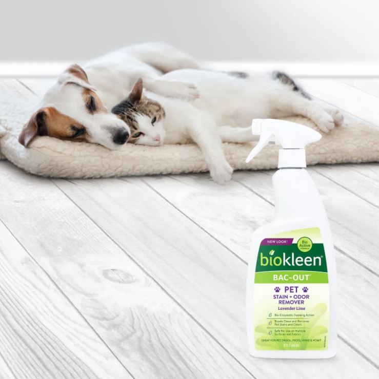 BIOKLEEN BAC-OUT PET STAIN & ODOR REMOVER - FOAMING SPRAY LARGE 32OZ/ –  Gilming Trading